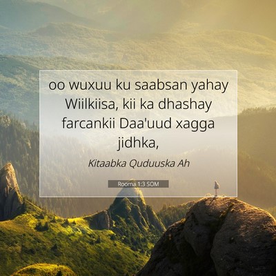 Picture 07 - Rooma 1:3 SOM - oo wuxuu ku saabsan yahay Wiilkiisa, kii ka - Bible Verse Picture