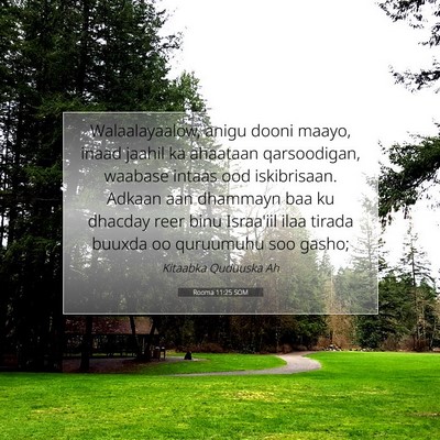 Picture 07 - Rooma 11:25 SOM - Walaalayaalow, anigu dooni maayo, inaad jaahil ka - Bible Verse Picture