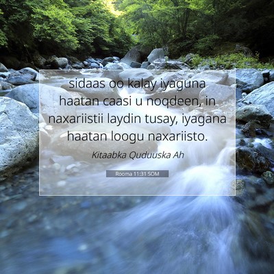 Picture 07 - Rooma 11:31 SOM - sidaas oo kalay iyaguna haatan caasi u noqdeen, - Bible Verse Picture