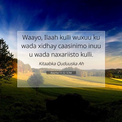 Picture 07 - Rooma 11:32 SOM - Waayo, Ilaah kulli wuxuu ku wada xidhay caasinimo - Bible Verse Picture