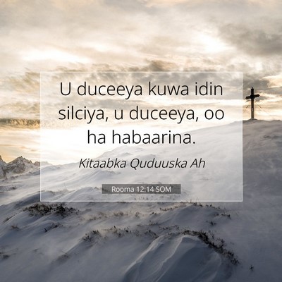 Picture 07 - Rooma 12:14 SOM - U duceeya kuwa idin silciya, u duceeya, oo ha - Bible Verse Picture