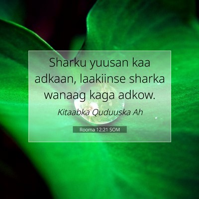 Picture 07 - Rooma 12:21 SOM - Sharku yuusan kaa adkaan, laakiinse sharka wanaag - Bible Verse Picture