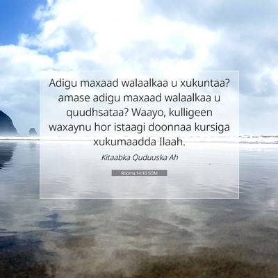 Picture 07 - Rooma 14:10 SOM - Adigu maxaad walaalkaa u xukuntaa? amase adigu - Bible Verse Picture