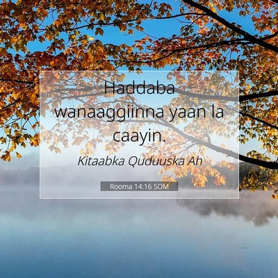 Picture 07 - Rooma 14:16 SOM - Haddaba wanaaggiinna yaan la - Bible Verse Picture