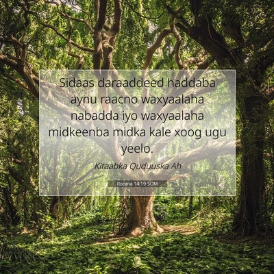 Picture 07 - Rooma 14:19 SOM - Sidaas daraaddeed haddaba aynu raacno waxyaalaha - Bible Verse Picture