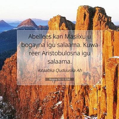 Picture 07 - Rooma 16:10 SOM - Abellees kan Masiixu u bogayna igu salaama. Kuwa - Bible Verse Picture