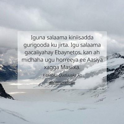 Picture 07 - Rooma 16:5 SOM - Iguna salaama kiniisadda gurigooda ku jirta. Igu - Bible Verse Picture