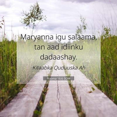 Picture 07 - Rooma 16:6 SOM - Maryanna igu salaama, tan aad idiinku - Bible Verse Picture
