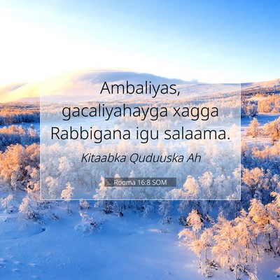Picture 07 - Rooma 16:8 SOM - Ambaliyas, gacaliyahayga xagga Rabbigana igu - Bible Verse Picture