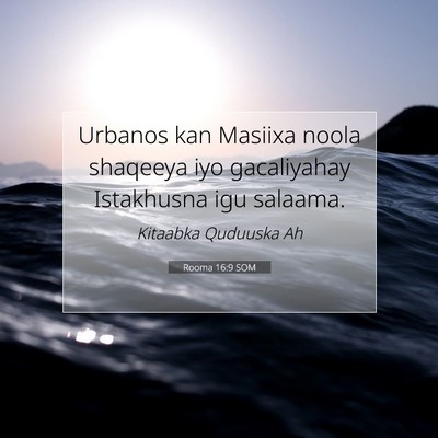 Picture 07 - Rooma 16:9 SOM - Urbanos kan Masiixa noola shaqeeya iyo - Bible Verse Picture