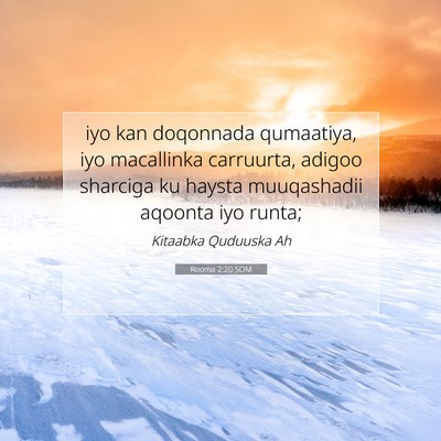 Picture 07 - Rooma 2:20 SOM - iyo kan doqonnada qumaatiya, iyo macallinka - Bible Verse Picture