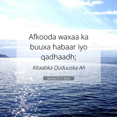 Picture 07 - Rooma 3:14 SOM - Afkooda waxaa ka buuxa habaar iyo - Bible Verse Picture