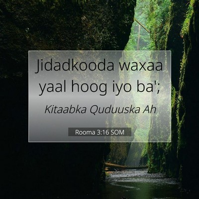 Picture 07 - Rooma 3:16 SOM - Jidadkooda waxaa yaal hoog iyo - Bible Verse Picture