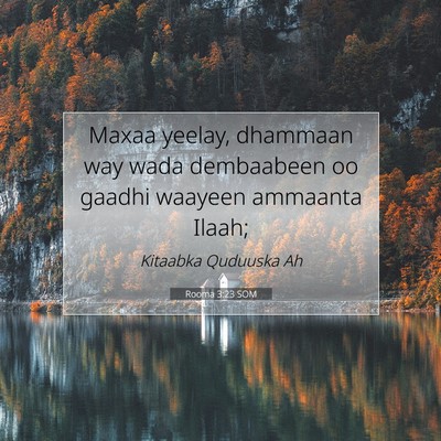 Picture 07 - Rooma 3:23 SOM - Maxaa yeelay, dhammaan way wada dembaabeen oo - Bible Verse Picture