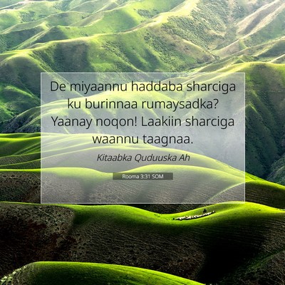 Picture 07 - Rooma 3:31 SOM - De miyaannu haddaba sharciga ku burinnaa - Bible Verse Picture