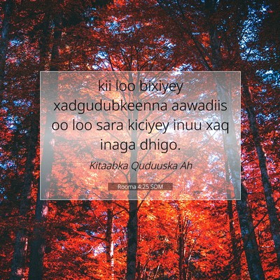 Picture 07 - Rooma 4:25 SOM - kii loo bixiyey xadgudubkeenna aawadiis oo loo - Bible Verse Picture