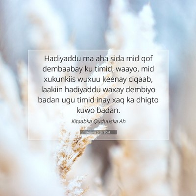 Picture 07 - Rooma 5:16 SOM - Hadiyaddu ma aha sida mid qof dembaabay ku timid, - Bible Verse Picture