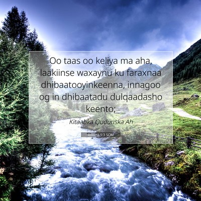 Picture 07 - Rooma 5:3 SOM - Oo taas oo keliya ma aha, laakiinse waxaynu ku - Bible Verse Picture