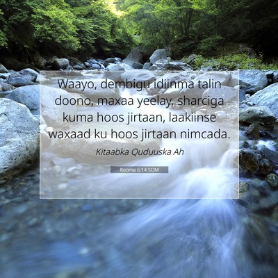 Picture 07 - Rooma 6:14 SOM - Waayo, dembigu idiinma talin doono, maxaa yeelay, - Bible Verse Picture