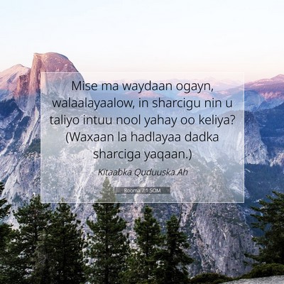 Picture 07 - Rooma 7:1 SOM - Mise ma waydaan ogayn, walaalayaalow, in sharcigu - Bible Verse Picture