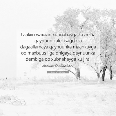 Picture 07 - Rooma 7:23 SOM - Laakiin waxaan xubnahayga ka arkaa qaynuun kale, - Bible Verse Picture