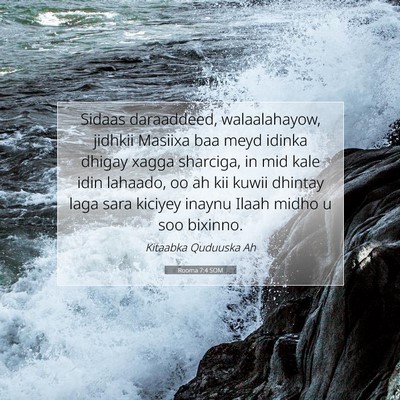 Picture 07 - Rooma 7:4 SOM - Sidaas daraaddeed, walaalahayow, jidhkii Masiixa - Bible Verse Picture