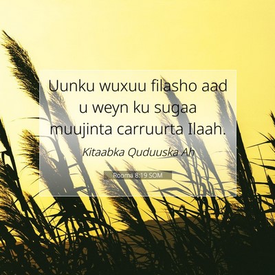 Picture 07 - Rooma 8:19 SOM - Uunku wuxuu filasho aad u weyn ku sugaa muujinta - Bible Verse Picture
