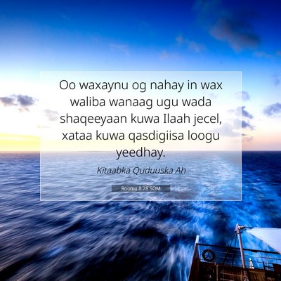 Picture 07 - Rooma 8:28 SOM - Oo waxaynu og nahay in wax waliba wanaag ugu wada - Bible Verse Picture