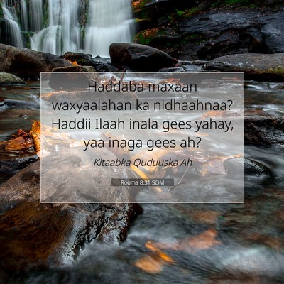 Picture 07 - Rooma 8:31 SOM - Haddaba maxaan waxyaalahan ka nidhaahnaa? Haddii - Bible Verse Picture