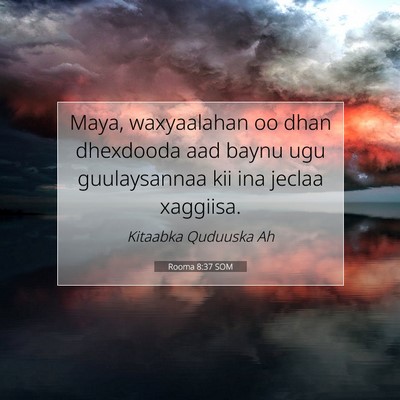 Picture 07 - Rooma 8:37 SOM - Maya, waxyaalahan oo dhan dhexdooda aad baynu ugu - Bible Verse Picture