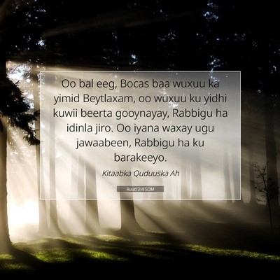 Picture 07 - Ruud 2:4 SOM - Oo bal eeg, Bocas baa wuxuu ka yimid Beytlaxam, - Bible Verse Picture