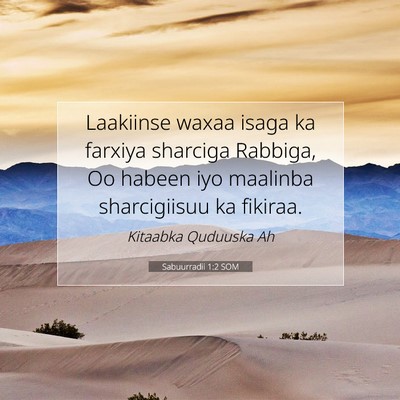 Picture 07 - Sabuurradii 1:2 SOM - Laakiinse waxaa isaga ka farxiya sharciga - Bible Verse Picture