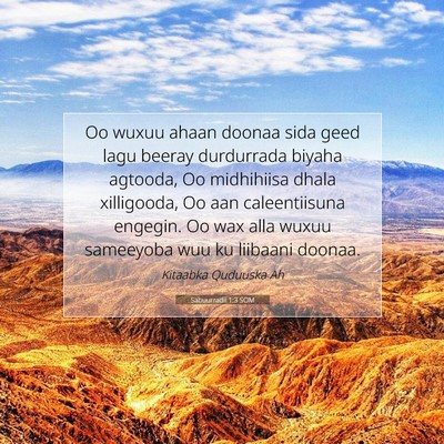 Picture 07 - Sabuurradii 1:3 SOM - Oo wuxuu ahaan doonaa sida geed lagu beeray - Bible Verse Picture