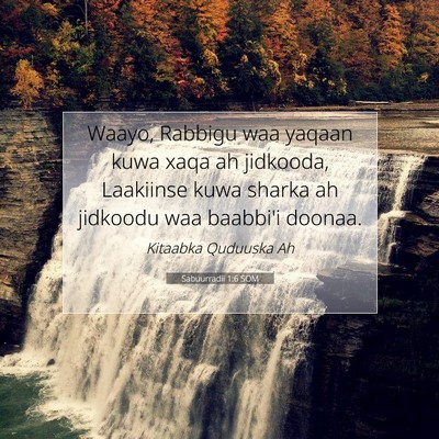 Picture 07 - Sabuurradii 1:6 SOM - Waayo, Rabbigu waa yaqaan kuwa xaqa ah jidkooda, - Bible Verse Picture