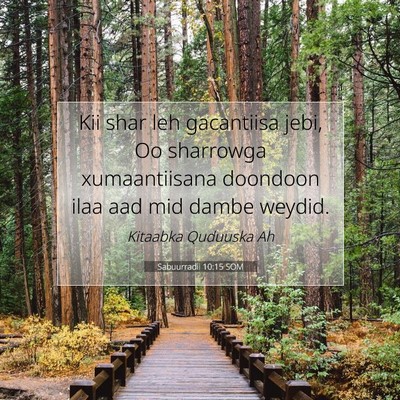 Picture 07 - Sabuurradii 10:15 SOM - Kii shar leh gacantiisa jebi, Oo sharrowga - Bible Verse Picture