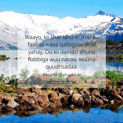 Picture 07 - Sabuurradii 10:3 SOM - Waayo, kii shar lahu wuxuu ku faanaa waxa - Bible Verse Picture