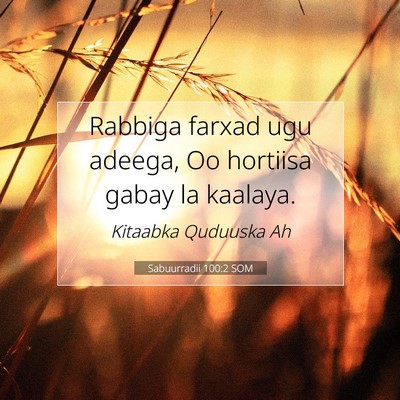 Picture 07 - Sabuurradii 100:2 SOM - Rabbiga farxad ugu adeega, Oo hortiisa gabay la - Bible Verse Picture