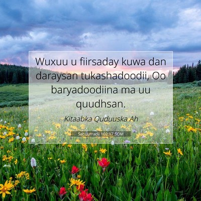 Picture 07 - Sabuurradii 102:17 SOM - Wuxuu u fiirsaday kuwa dan daraysan - Bible Verse Picture