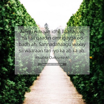 Picture 07 - Sabuurradii 102:24 SOM - Anigu waxaan idhi, Ilaahayow, ha i sii qaadin - Bible Verse Picture