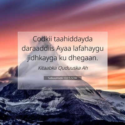 Picture 07 - Sabuurradii 102:5 SOM - Codkii taahiddayda daraaddiis Ayaa lafahaygu - Bible Verse Picture
