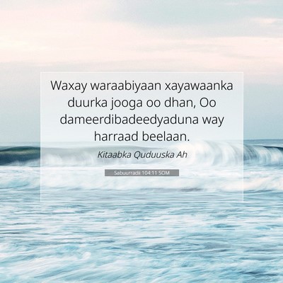 Picture 07 - Sabuurradii 104:11 SOM - Waxay waraabiyaan xayawaanka duurka jooga oo - Bible Verse Picture