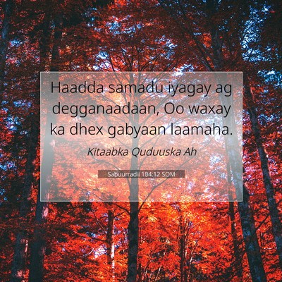 Picture 07 - Sabuurradii 104:12 SOM - Haadda samadu iyagay ag degganaadaan, Oo waxay ka - Bible Verse Picture
