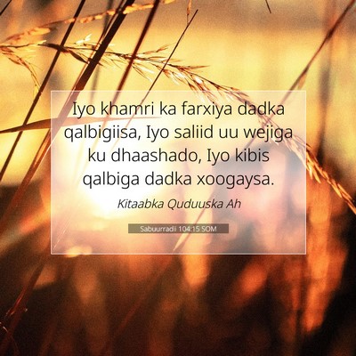 Picture 07 - Sabuurradii 104:15 SOM - Iyo khamri ka farxiya dadka qalbigiisa, Iyo - Bible Verse Picture