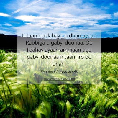 Picture 07 - Sabuurradii 104:33 SOM - Intaan noolahay oo dhan ayaan Rabbiga u gabyi - Bible Verse Picture