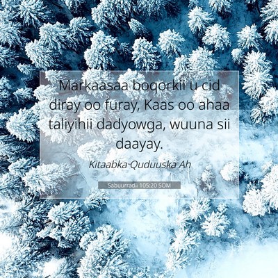 Picture 07 - Sabuurradii 105:20 SOM - Markaasaa boqorkii u cid diray oo furay, Kaas oo - Bible Verse Picture