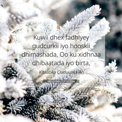 Picture 07 - Sabuurradii 107:10 SOM - Kuwii dhex fadhiyey gudcurkii iyo hooskii - Bible Verse Picture