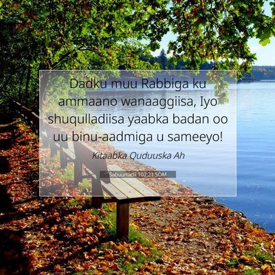 Picture 07 - Sabuurradii 107:21 SOM - Dadku muu Rabbiga ku ammaano wanaaggiisa, Iyo - Bible Verse Picture