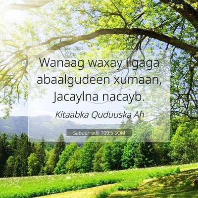 Picture 07 - Sabuurradii 109:5 SOM - Wanaag waxay iigaga abaalgudeen xumaan, Jacaylna - Bible Verse Picture