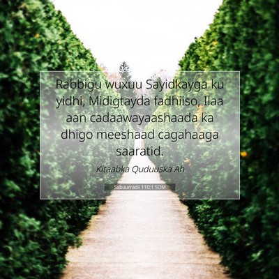 Picture 07 - Sabuurradii 110:1 SOM - Rabbigu wuxuu Sayidkayga ku yidhi, Midigtayda - Bible Verse Picture