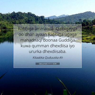 Picture 07 - Sabuurradii 111:1 SOM - Rabbiga ammaana. Qalbigayga oo dhan ayaan Rabbiga - Bible Verse Picture